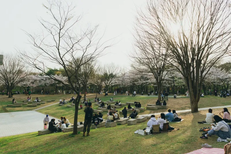 公園が舞台に変わる日：アメリカで育ちつつある「弁当を広げる」ピクニック文化
